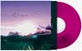Text „Magenta“ auf einem Plattencover. Im Hintergrund ein verschwommener Sonnenuntergang. Magentafarbene Schallplatte.