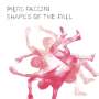 Piers Faccini: Shapes Of The Fall, CD