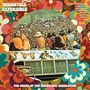 "Woodstock Experience", "The Sound of the Woodstock Generation". Bunte Blumenmuster, Menschen auf einem Busdach vor einer großen Menge.