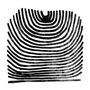 Rival Consoles: Howl (limited Clear Vinyl), LP,LP