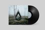 Ein schwarzes Vinyl mit Text "SOMOS" auf hellblauem Label. Das Cover zeigt einen nebligen Wald mit einer dreieckigen Skulptur.