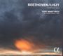Ludwig van Beethoven: Symphonie Nr.9 (Klavierfass.von Liszt), CD