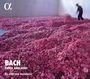 Johann Sebastian Bach (1685-1750): Englische Suiten BWV 806-811, CD