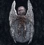 Deathspell Omega: Si Monumentum Requires, Circumspice, CD