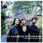 Robert Schumann: Klaviertrios Nr.1 & 2, CD