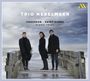: Trio Nebelmeer - Chausson / Saint-Saens, CD