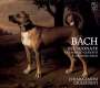Johann Sebastian Bach: Sonaten für Violine & Cembalo BWV 1014-1017, CD,CD