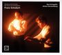 "Sonatas and Fantasy for Violin and Fortepiano, Franz Schubert. Ilya Gringolts, Anton Gerzenberg." Zwei Musiker im warmen Licht.