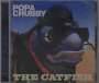 Popa Chubby (Ted Horowitz): Catfish, CD