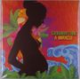 Groundation: A Miracle, LP