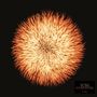 Text: "YOM COSMOGONIA New album". Eine orange-weiße Blume auf schwarzem Hintergrund, stilisiert und detailreich.