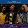 Israel Vibration: Forever, CD