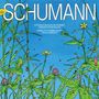Robert Schumann (1810-1856): Sämtliche Kammermusik / Violinkonzert, CD