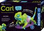 „Carl, Das Coding-Chamäleon.“ Sprechblase: „Wow! Ich kann jagen oder flüchten!“ Roboter-Chamäleon in Grün und Blau.