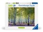 : Ravensburger Puzzle Nature Edition 12000117 - Birkenwald - 1000 Teile Puzzle für Erwachsene und Kinder ab 14 Jahren, Div.