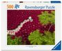 : Erwachsenenpuzzle 500 Teile - Ein Meer aus Rot, SPL