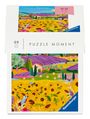 : Erwachsenenpuzzle 99 Teile - Frankreich, SPL