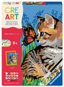 "CRE ART", Malen nach Zahlen Set für 9+, zeigt ein Kätzchen mit Schmetterling, 15 Acrylfarben und Pinsel enthalten.
