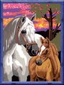 Illustration: Ein weißes Pferd und ein braunes Fohlen vor einem farbenfrohen Sonnenuntergang mit rosa und lila Wolken.