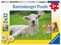 : Ravensburger Kinderpuzzle - 05718 Unsere Bauernhoftiere - 2x12 Teile Puzzle für Kinder ab 3 Jahren, Div.
