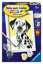 : Ravensburger - Malen nach Zahlen 23755 - Niedlicher Hund - Kinder ab 7 Jahren, SPL