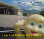 The Dad Horse Experience: I Am A Stranger Here Below, CD