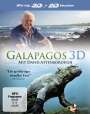 Martin Williams: Galapagos mit David Attenborough (3D Blu-ray), BR