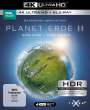 : Planet Erde 2: Eine Erde - Viele Welten (Ultra HD Blu-ray & Blu-ray), UHD,UHD,BR,BR