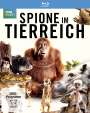 John Downer: Spione im Tierreich Staffel 1 (Blu-ray), BR,DVD