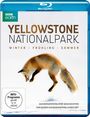: Yellowstone Nationalpark: Winter - Frühling - Sommer (Blu-ray), BR