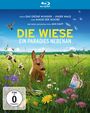 Jan Haft: Die Wiese - Ein Paradies nebenan (Blu-ray), BR