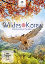 James Reed: Wildes Korea, DVD