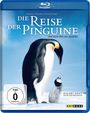 Luc Jacquet: Die Reise der Pinguine (Blu-ray), BR
