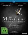 Richard Lester: Die drei Musketiere + Die vier Musketiere (Blu-ray), BR,BR
