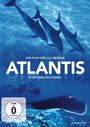 Luc Besson: Atlantis, DVD