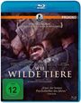 Rodrigo Sorogoyen: Wie wilde Tiere (Blu-ray), BR