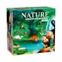 „NATURE AMAZON RAINFOREST MODUL 5“ steht auf dem Karton. Illustration zeigt Dschungelszene mit Affen, Vögeln und Wasserfall.