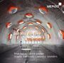 Trio Accanto - Out into the open, CD