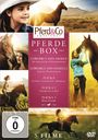: Pferde-Box (5 Filme), DVD,DVD,DVD,DVD,DVD