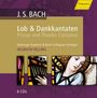 Johann Sebastian Bach: Lob- und Dankkantaten, CD,CD,CD,CD,CD,CD