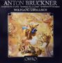 Anton Bruckner (1824-1896): Symphonie Nr.6, LP