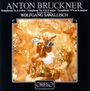 Anton Bruckner: Symphonie Nr.6, CD