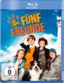 Mike Marzuk: Fünf Freunde (2011) (Blu-ray), BR