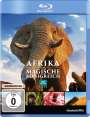Patrick Morris: Afrika - Das magische Königreich (Blu-ray), BR