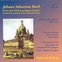 Johann Sebastian Bach: Kantate BWV 215, CD