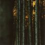 Claus Boesser-Ferrari: Wandertag, CD