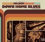 Text: "Gregor Hilden Organ Trio, Down Home Blues feat. Big Daddy Wilson." Drei Retro-Instrumentenfotos, Musik-Albumstil.