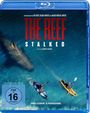 Andrew Traucki: The Reef: Stalked (Blu-ray), BR