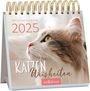 : Mini-Wochenkalender Katzenweisheiten 2025, KAL