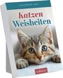 : Abreißkalender Katzenweisheiten 2027, KAL